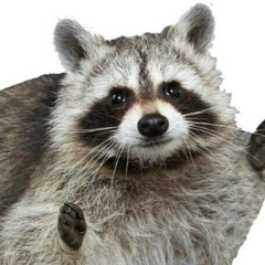 너굴맨