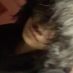 s3npapi