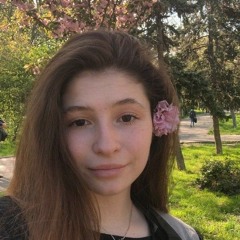 Vlada