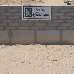 M.Eldishnawy