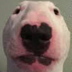 ohnomaster69420🥶🥶🥶🥵🥵🥵🥵😭😭😭😭😭