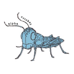 Alpha Cricket