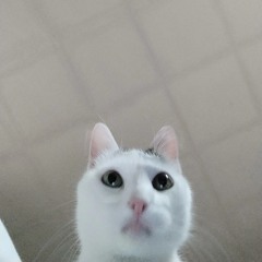 erinka