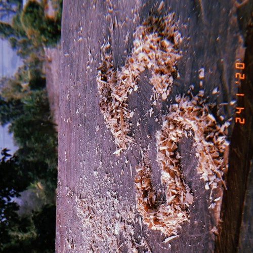 Stream Sherab Jurmey music Listen to songs, albums, playlists for