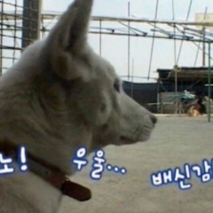 농담곰