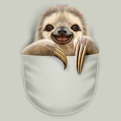 Sloth Boy