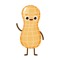 Peanut