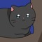 Lilmeow