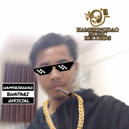 HAMSRINGDAO BHATARI (the track 17)’s avatar