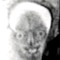 ssLigmaballz8
