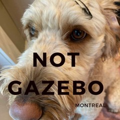 not gazebo