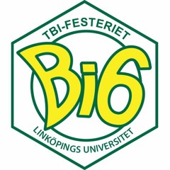 Festeriet Bi6