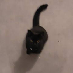 Jack0121