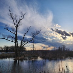 Meadow of Melancholy