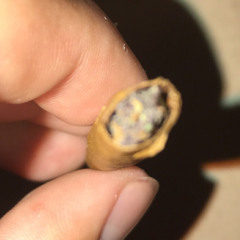 ReinO