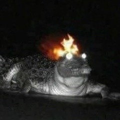 Alligator on Fire