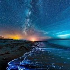 Brèñdàñ Jîggīñs