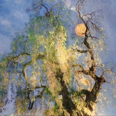 Yeo Rang