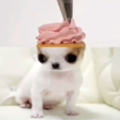 munniefetishgoon