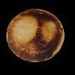 Seeding for Survival - Chuck Berglund