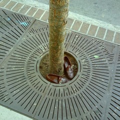 the cure for it is not to dream less (DEMO w Stephen Pierson