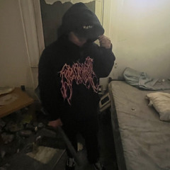 WEB$