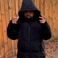 bigshortbus