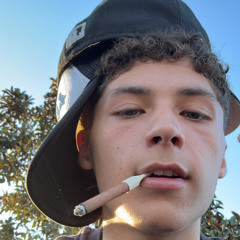 BISR