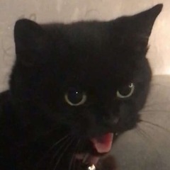 ving (u‿ฺu✿ฺ)