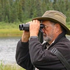 Sounds from the Wild Country