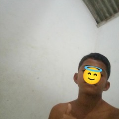 vinicin
