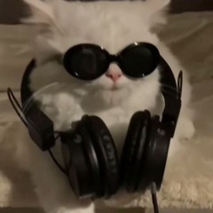 Cover_Make_you_feel_my_love_By_Adele