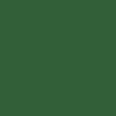bryophyta
