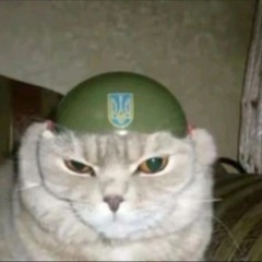 Ivanko_ganster