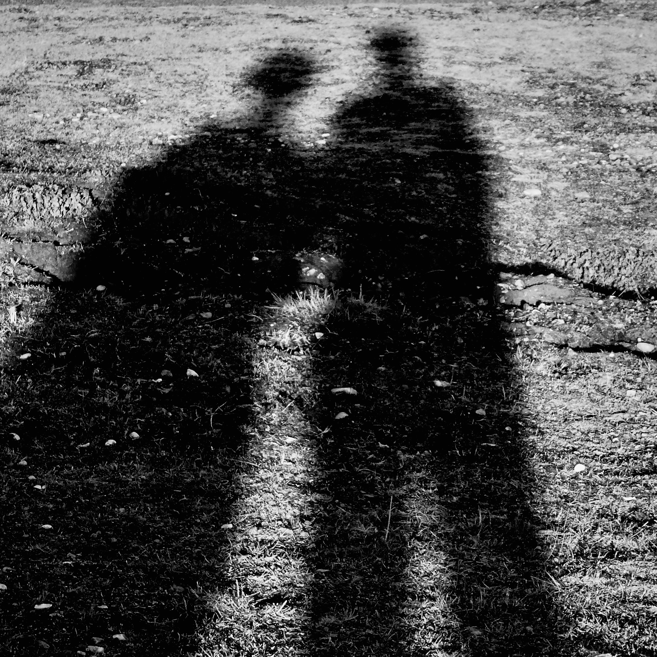 sanderson & sanderson