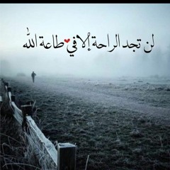 حمزة احمد