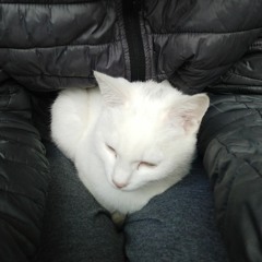 Street's work - Chill