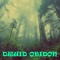 Druid Obidon
