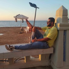 Mena Adwer