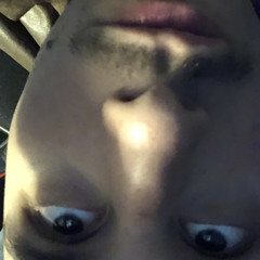 lilvoy