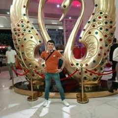 Phong Ho