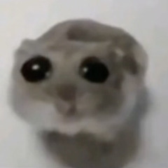 kdsis