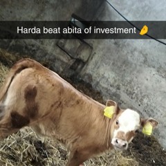 s_martin2407