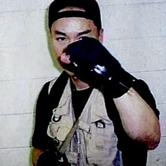 wallpuncher
