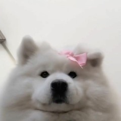 phggnhh