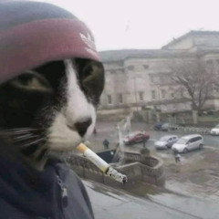 slz