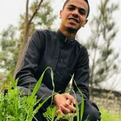 Eslam Gomaa Alsongre