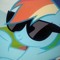 cool dashie