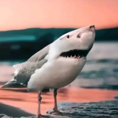 no