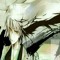 miracalis